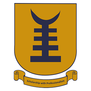 University of Professional Studies